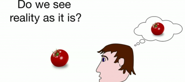 „Do we see reality as it is?“ – Grafik eines Mannes, der auf eine Tomate schaut